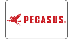 Pegasus